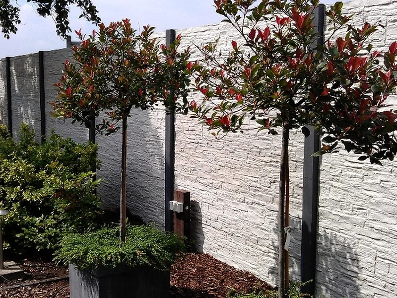 Zdjęcie - nowoczesne ogrodzenia w ogrodzie